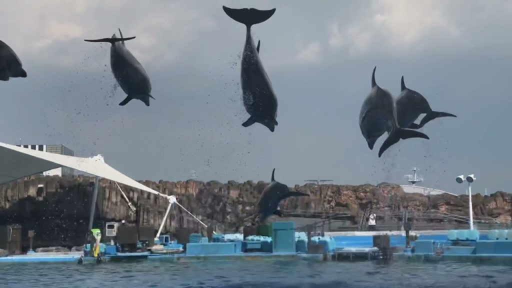 PORT OF NAGOYA PUBLIC AQUARIUM 2021 |FLYING DOLPHINS |JAPAN 2021