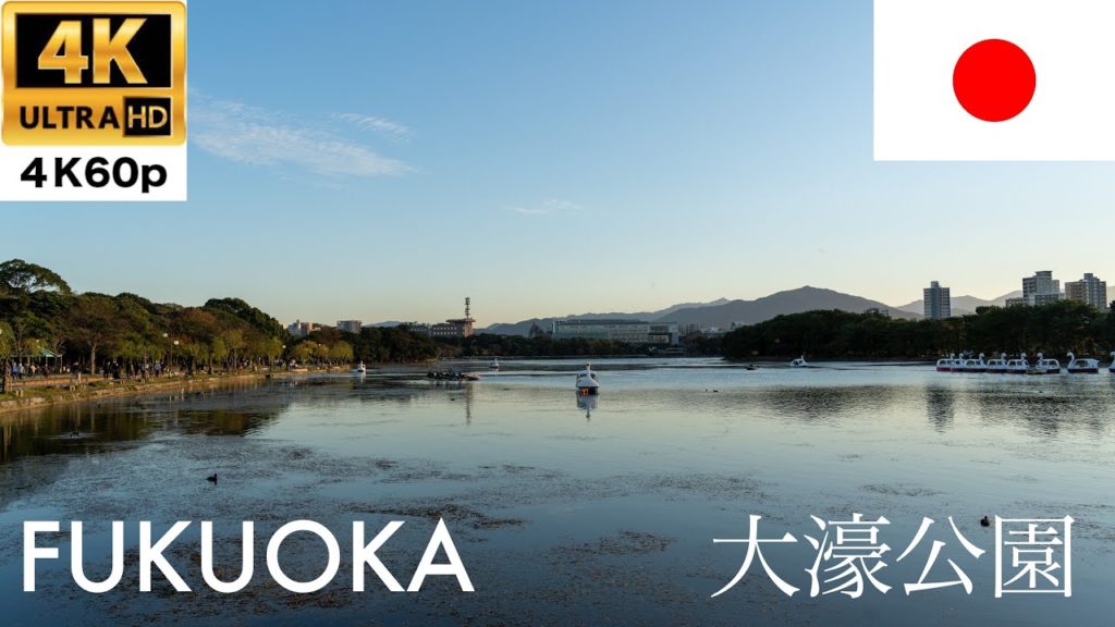 【Walking】Fukuoka - Ohori Park【4K60P】