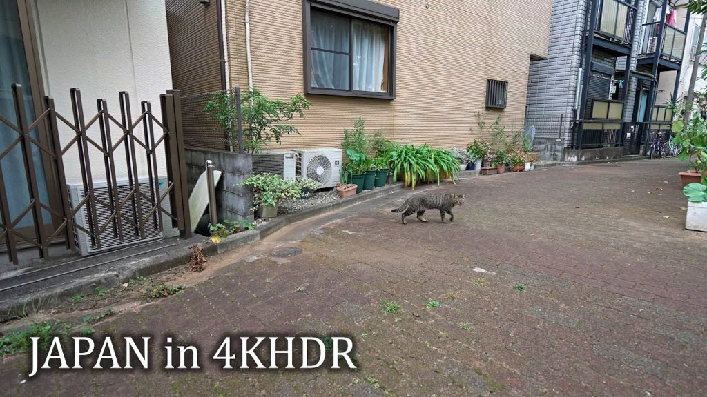 Walking in Tokyo Sasazuka・4K HDR