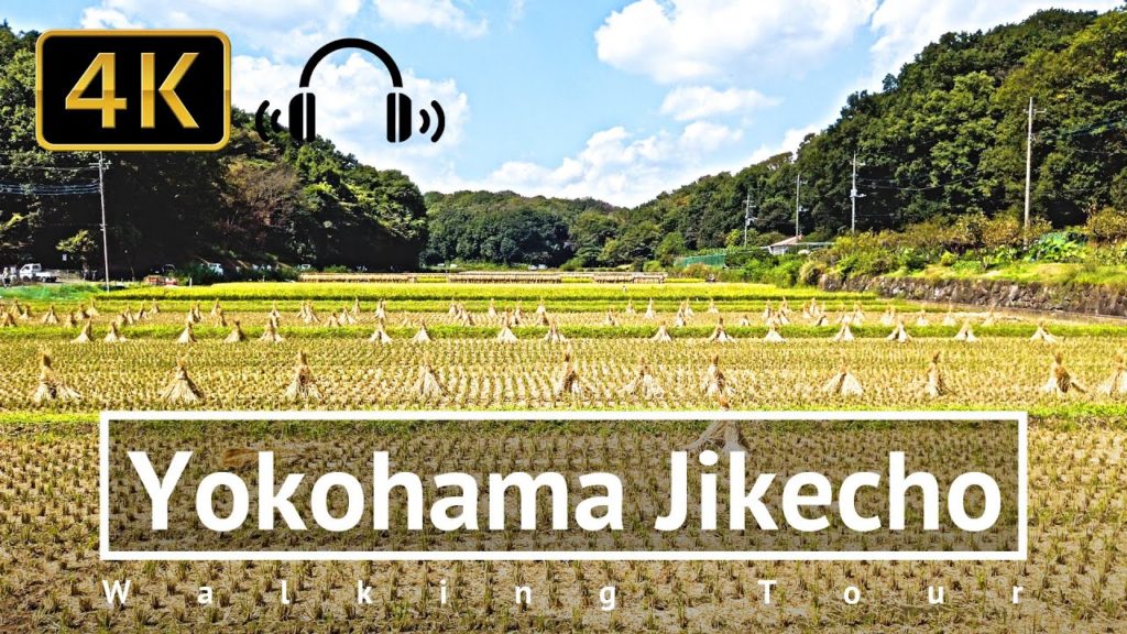 Can You Believe This Is Yokohama?! Jikecho Walking Tour - Kanagawa Japan [4K/Binaural]