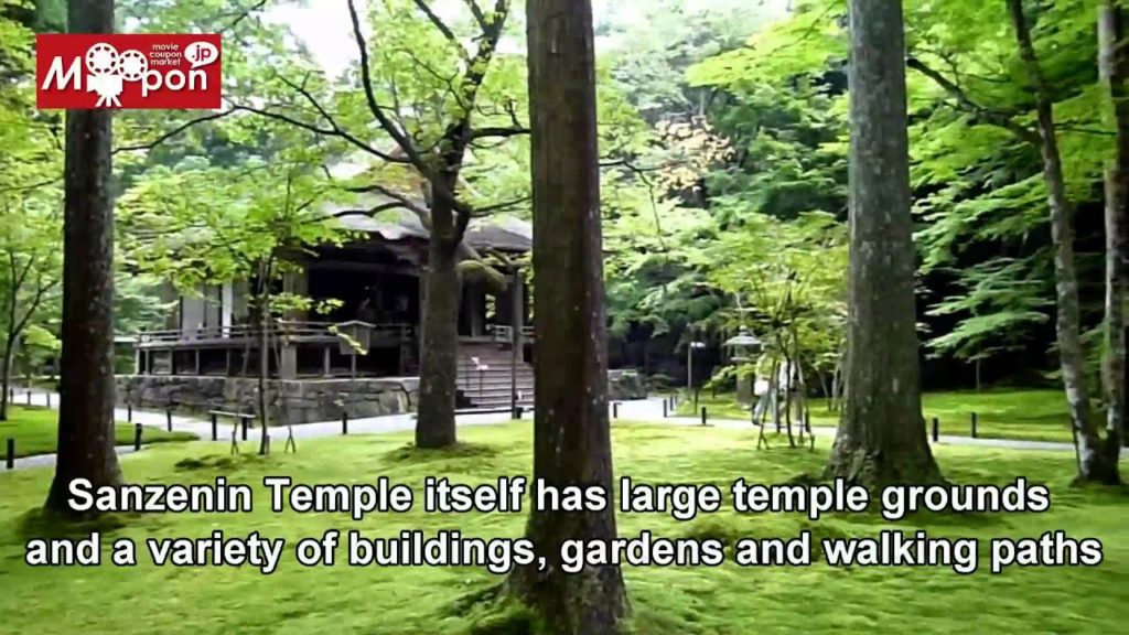 Japan Trip: Sanzenin Temple Japanese garden, Ohara, Kyoto, Japan