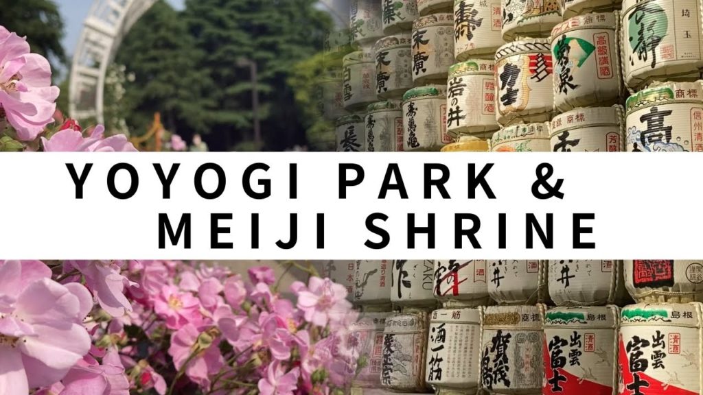 Tourist Destinations - Yoyogi Park & Meiji Shrine (Meiji Jingu) Tourist Destinations - Yoyogi Park & Meiji Shrine (Meiji Jingu)