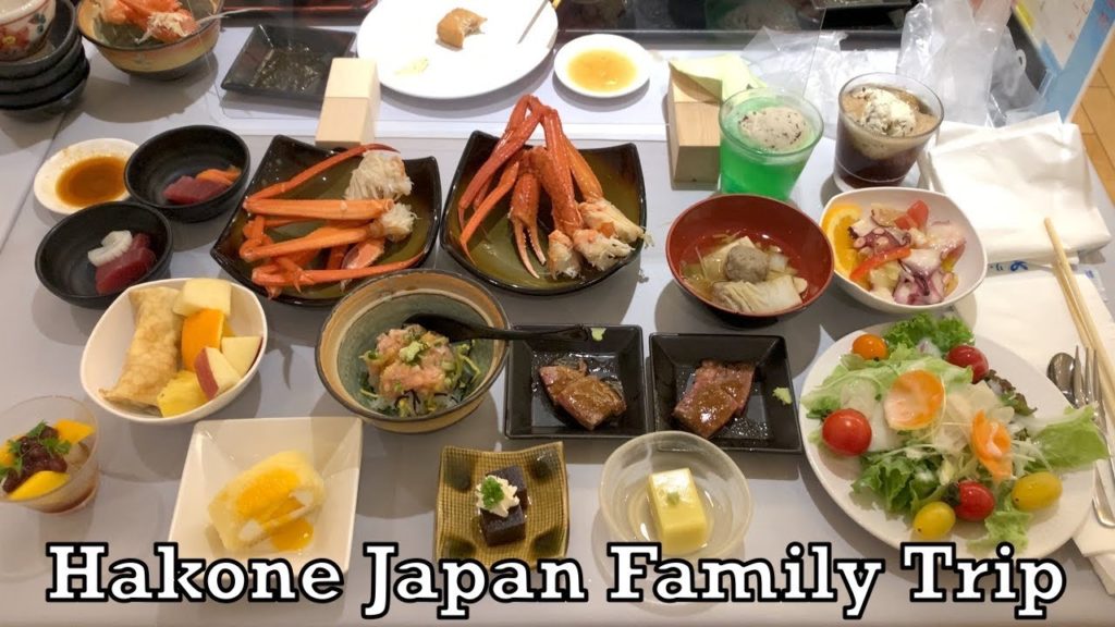 Hakone Japan Typical Getaway Family Trip 2021.08.05 Vacation Tokyo Hot Spring Onsen Resort Hotel
