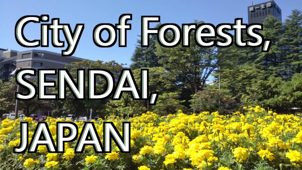 City of Forests, Sendai City, JAPAN, the most beautiful city in JAPAN