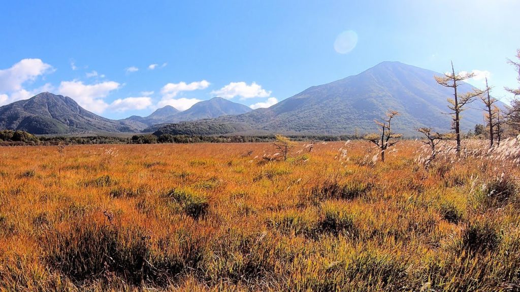 奥日光 戦場ヶ原の草紅葉と中禅寺湖遊覧船に乗船 Early Autumn in Nikko National Park : 日光国立公園 (栃木県日光市) : 4K