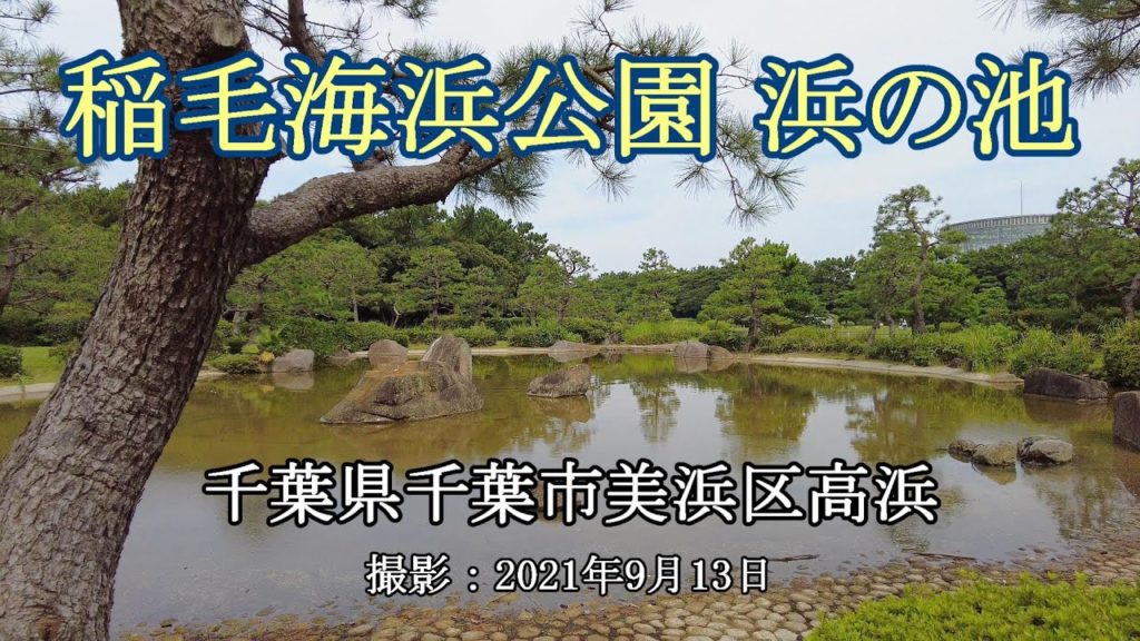 稲毛海浜公園 浜の池 [4K] Hamanoike Pond in Inage Seaside Park