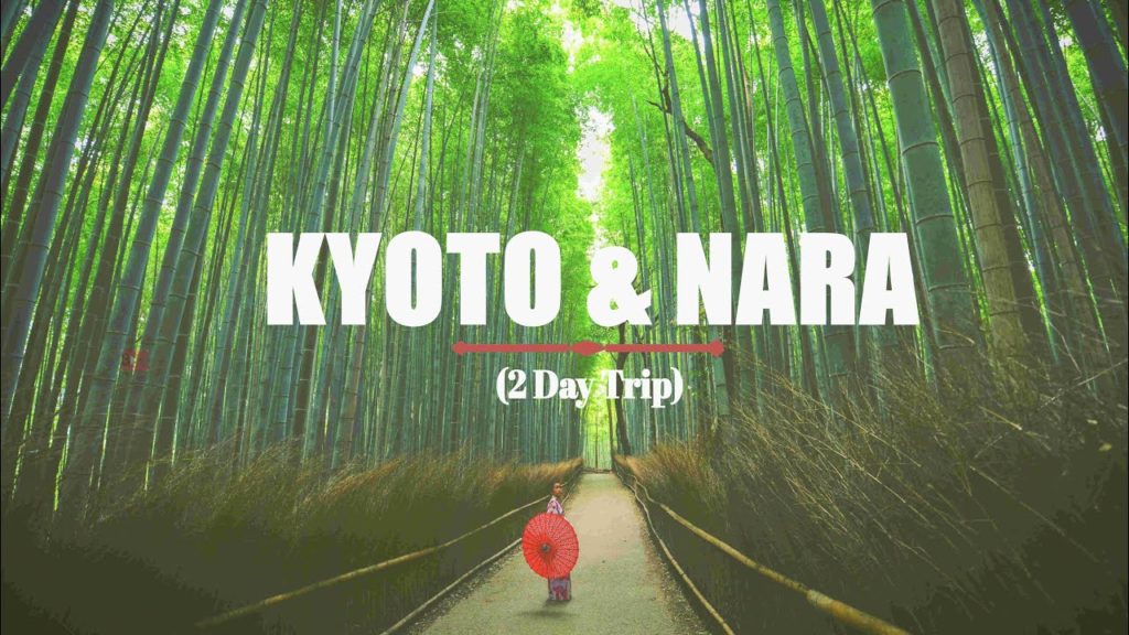 kyoto & Nara Travel Itinerary |  京都旅行プラン | Japan Travel Guide #kyototravelplan #naratravelplan kyoto & Nara Travel Itinerary |  京都旅行プラン | Japan Travel Guide #kyototravelplan #naratravelplan
