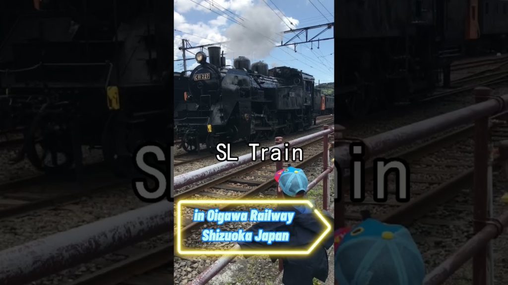 SL (Steam Locomotice) TRAIN JAPAN in OIGAWA RAILWAY A must see!!!