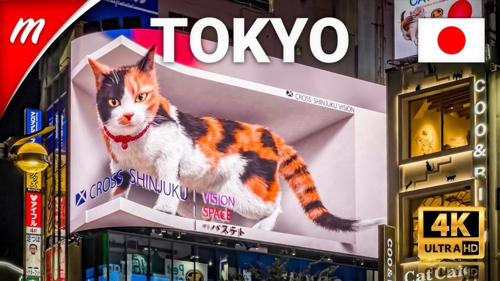 Giant 3D Cat takes a nap in Shinjuku | Tokyo Walking Tours Giant 3D Cat takes a nap in Shinjuku | Tokyo Walking Tours