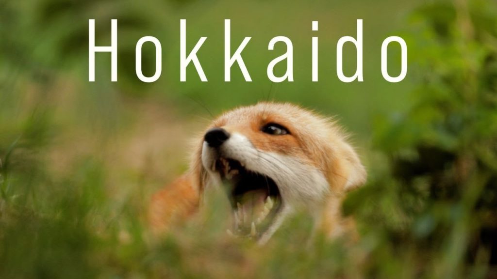 Summer in Hokkaido - Japan | 北海道の夏 | Cinematic Travel Video