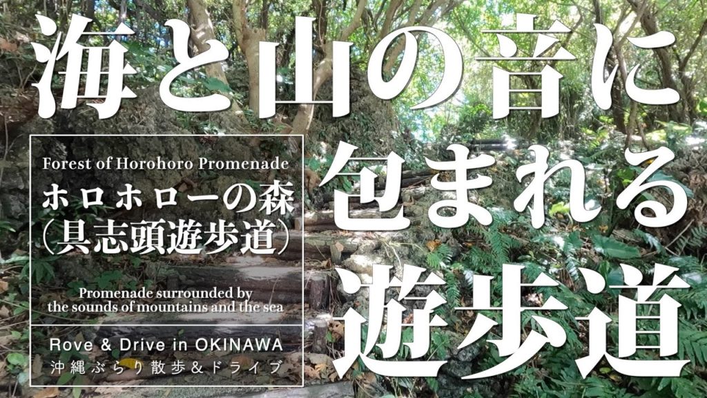 【Rove & Drive In Okinawa】山と海の音に包まれる遊歩道 – ホロホローの森(具志頭遊歩道) 【Rove & Drive In Okinawa】山と海の音に包まれる遊歩道 - ホロホローの森(具志頭遊歩道)