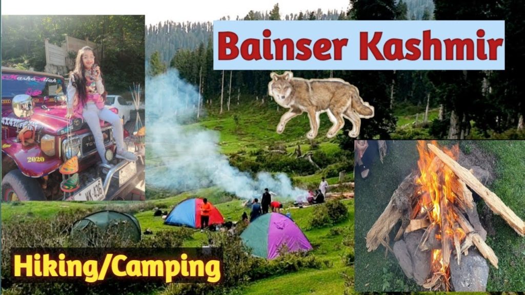 One Day Camping in Kashmir Forests | Adventure of a Life Time in Kashmir | WE ARE IN KASHMIR | wild