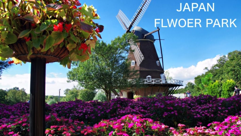 【JAPAN TRAVEL:CHIBA】FUNABASHI ANDERSEN PARK:FAMOUS PARK FOR FOREIGN TRAVELERS Flower Park near Tokyo 【JAPAN TRAVEL:CHIBA】FUNABASHI ANDERSEN PARK:FAMOUS PARK FOR FOREIGN TRAVELERS Flower Park near Tokyo