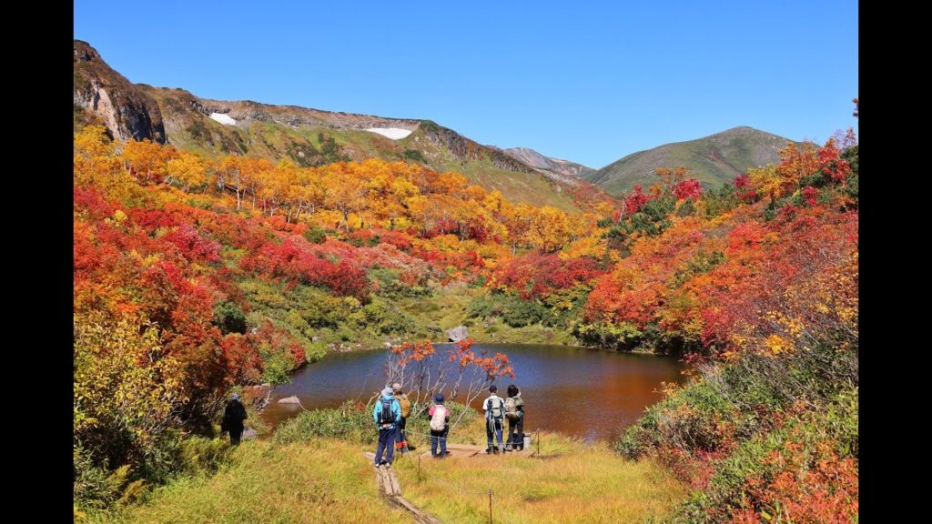 8K HDR 北海道  日本一の絶景天然紅葉 大雪高原沼 ベストの年と天候と見頃 一周7時間を30分で堪能 Hokkaido, Daisetsukogen in Autum, Best of Best