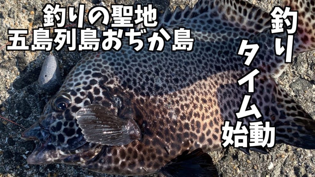 釣りの聖地五島列島おぢか島で、爆釣タイムスタートです! 釣りの聖地五島列島おぢか島で、爆釣タイムスタートです!