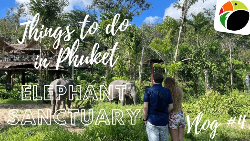 Things to do in Phuket German Episode 1 | Phuket Elephant Sanctuary Review | SOMAtravel Things to do in Phuket German Episode 1 | Phuket Elephant Sanctuary Review | SOMAtravel