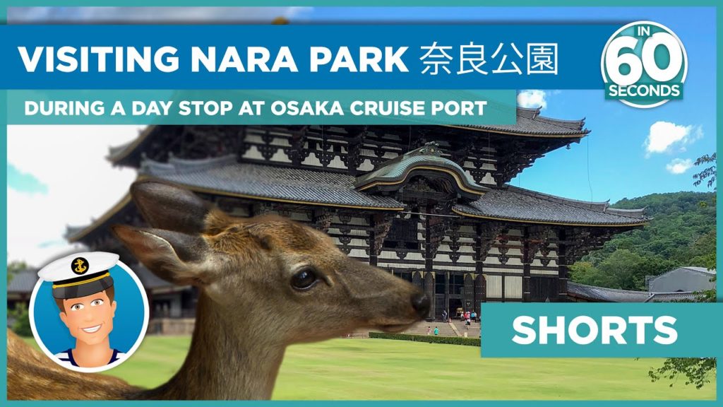Visiting Japan’s Nara (deer) Park in 60 seconds | During a day stop at Osaka Cruise port. #shorts Visiting Japan’s Nara (deer) Park in 60 seconds | During a day stop at Osaka Cruise port. #shorts