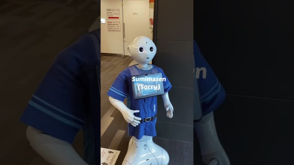 🇯🇵SUMIMASEN COME TO JAPAN