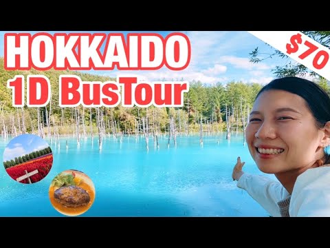 HOKKAIDO☆ Furano & Biei 1-day Bus Tour in Autumn!! Tomita Farm (lavender), Blue pond etc….. HOKKAIDO☆ Furano & Biei 1-day Bus Tour in Autumn!! Tomita Farm (lavender), Blue pond etc.....