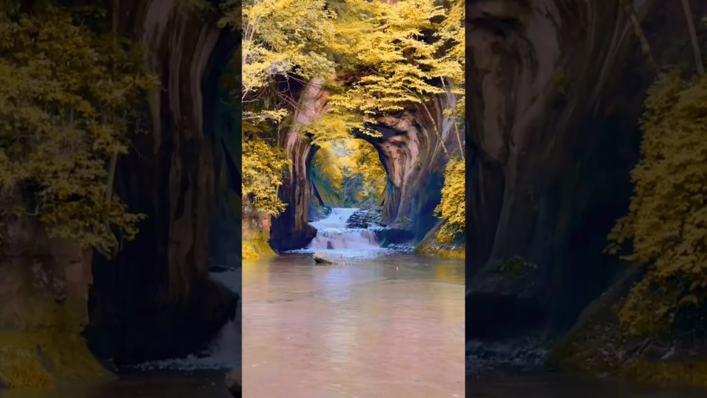 Kameiwa Cave Nozimo Falls Chiba #kameiwacave #nozimafalls #chiba #japan #view