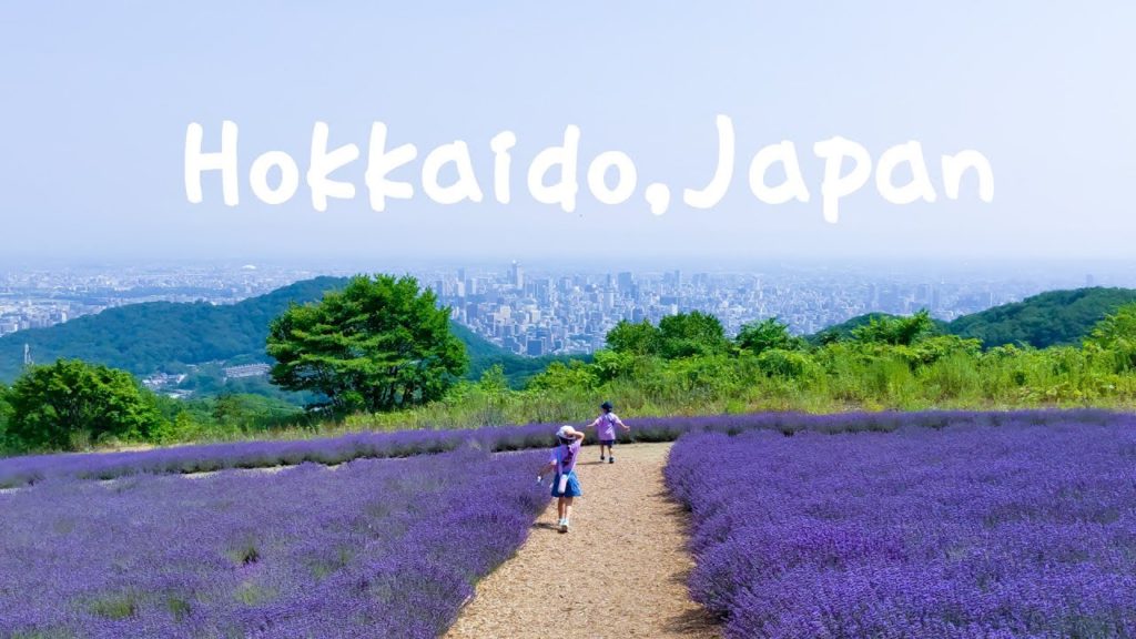 【Family trip】Summer in Hokkaido, Japan|The best place we enjoyed|Sapporo|Otaru|【北海道家族旅行】