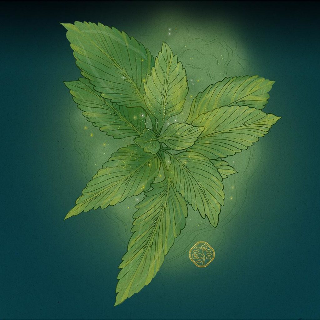 From the depths of time, the future of skin. 1,200 years ago at the sacred Mt Ko...