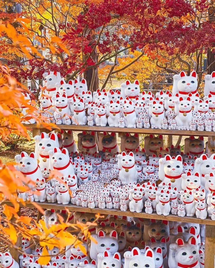 Japan Travel: Located in Tokyo’s Setagaya ward, Gotokuji Temple is a popular spot for visitors… Located in Tokyo's Setagaya ward, Gotokuji Temple is a popular spot for visitors...