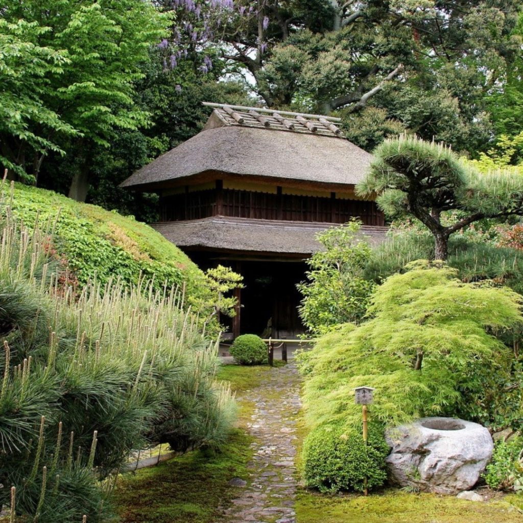 Both an art and an age-old tradition, tea ceremony has remained a cherished ritu...