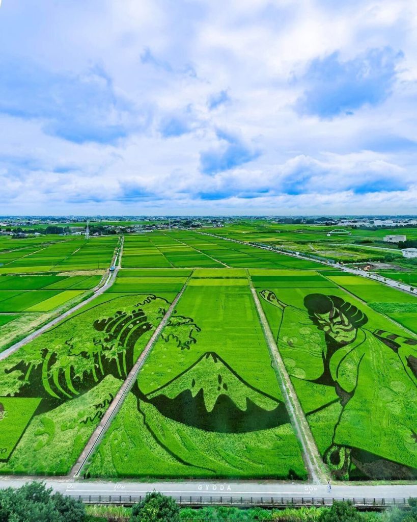 Saitama’s Gyoda City, a rice-growing region in Japan, is home to the world’s lar...