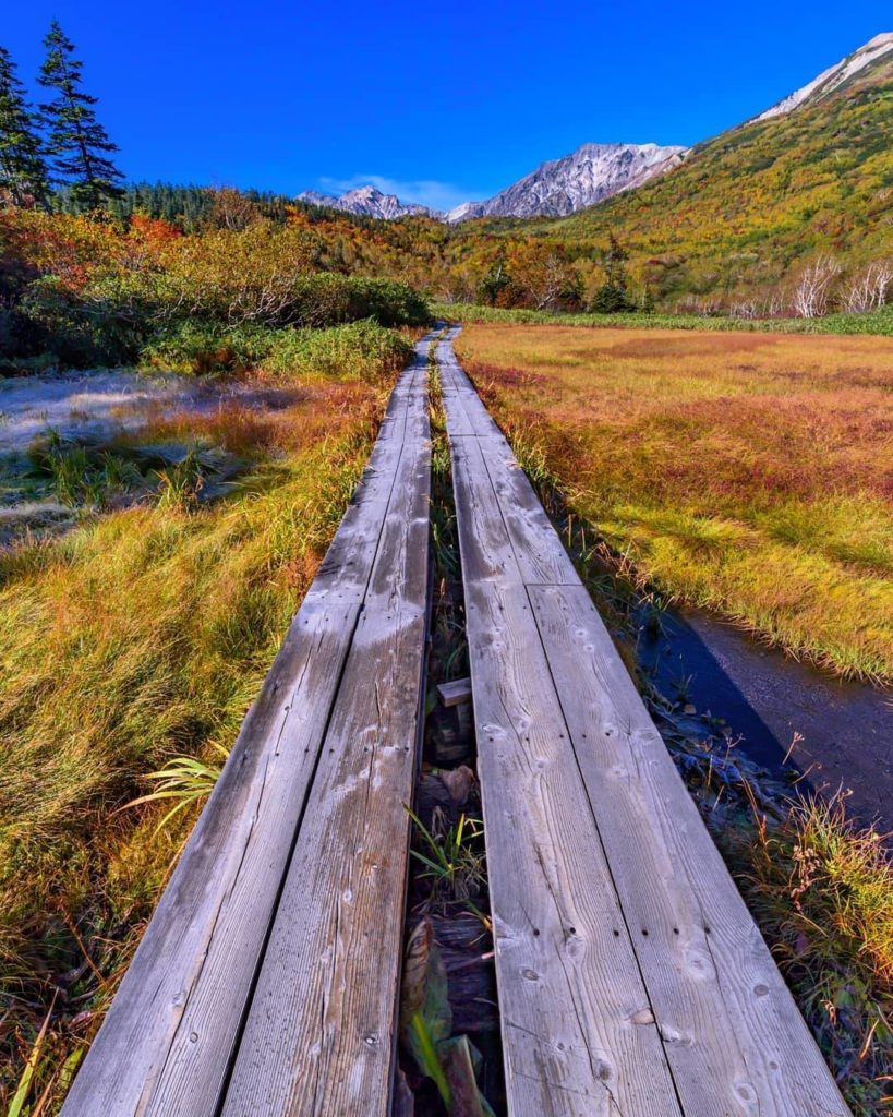 Nagano's Tsugaike Nature Park is home to one of the highest marshes in Japan, an...