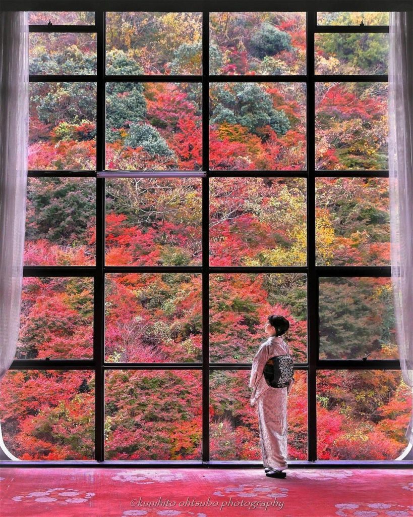 Now that's what we call a hotel with a view! Okudogo Ichiyu no Mori is a hotel l...