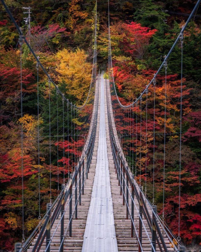 Visit Japan: Are you ready to walk into autumn?
Awaiting you from Hatanagi Suspension Bridge… Are you ready to walk into autumn?
Awaiting you from Hatanagi Suspension Bridge...