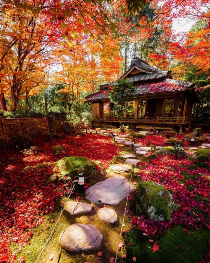 Japan sure does roll out the red carpet come autumn!  And what better place to a...