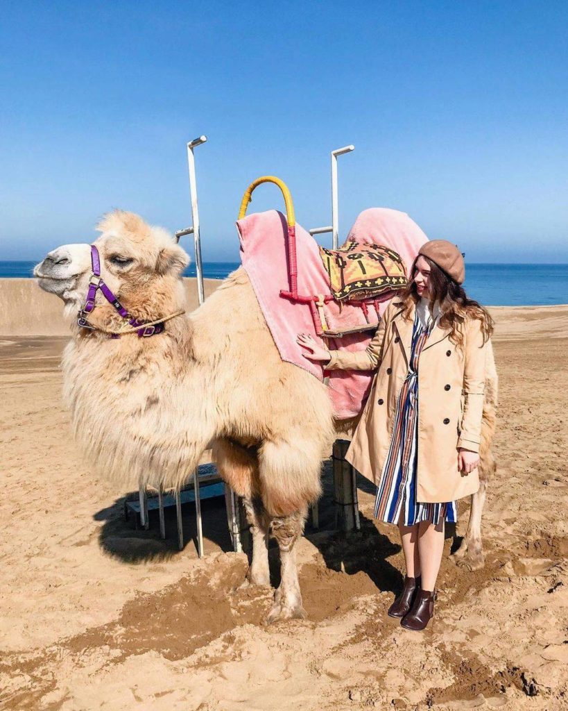 Japan Travel: There are a wide range of different landscapes in Japan, from tropical beaches t… There are a wide range of different landscapes in Japan, from tropical beaches t...