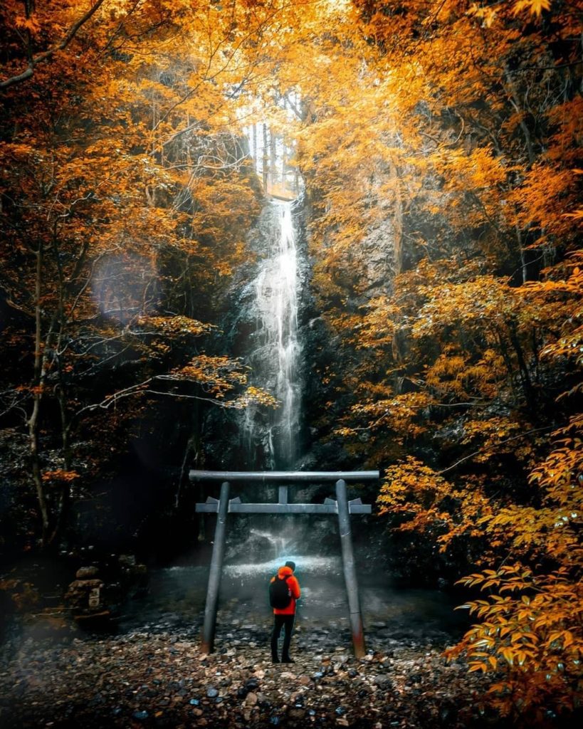 Have you ever seen such a stunning location for a Torii Gate? 
Deep in the mount...