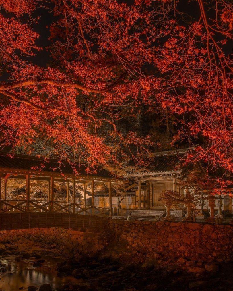 Does the night sky of autumn leaves inspire you? 
Buttsuji Temple from Hiroshima...