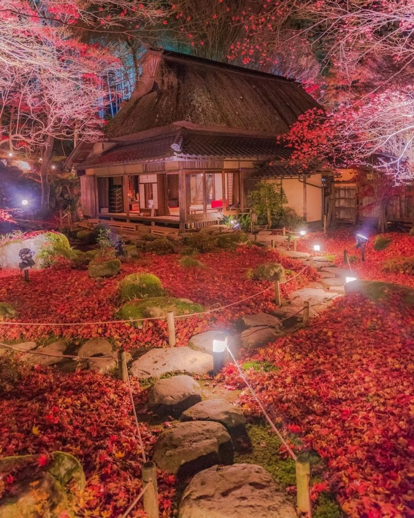 Don't these lights superbly enrich this aesthetic scene? 
The colors surrounding...