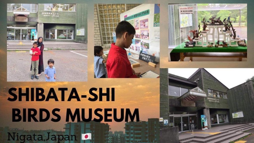 Shibata-shi birds museum (সিবাতা শহরের বার্ড মিউজিয়াম) Niigata, Japan