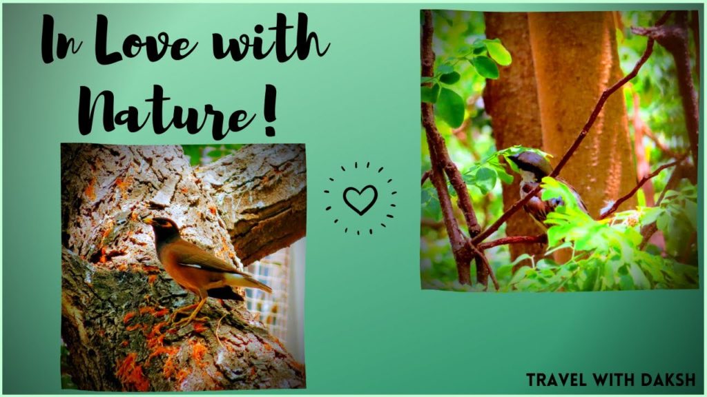 in love with nature # 3