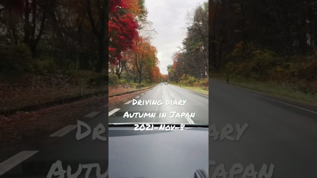 Come and feel the Autumn in Japan #nature #japan #autumn