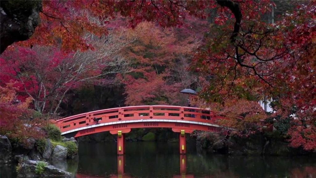 ONLY IN JAPAN GETAWAY