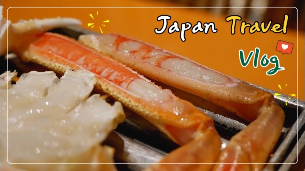 [ENG/日本語] 일본 온천 여행 vlog | 요나고 여행 | 가이케 온천 | 돗토리현 게 코스요리 | 현지인 추천 카페 | 일본 소도시 돗토리현(Japan travel vlog)