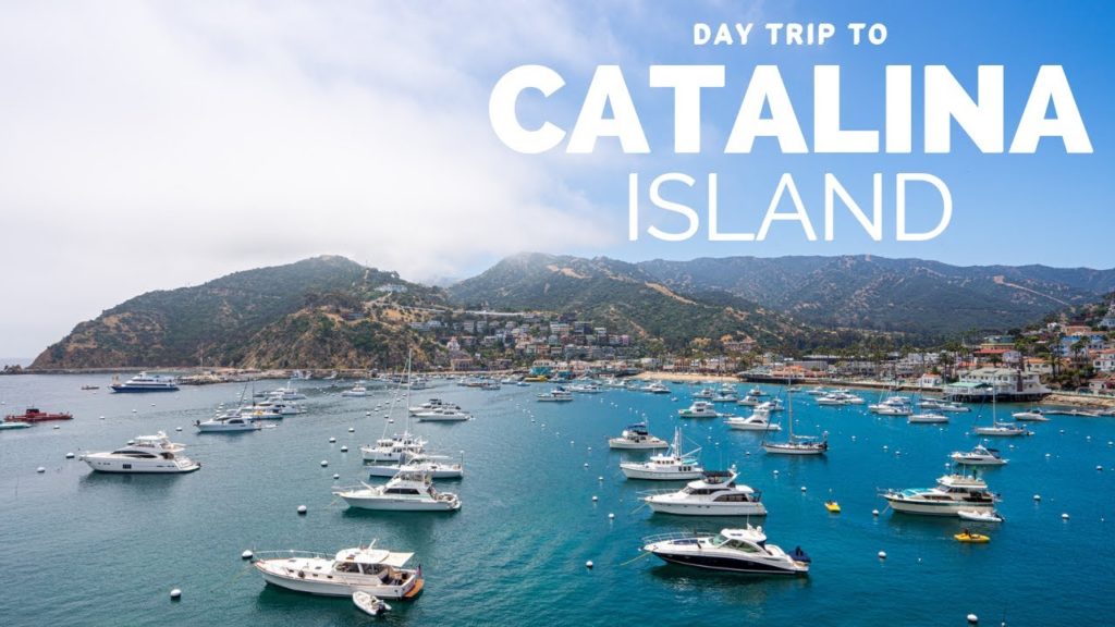 Catalina Island Day Trip: What to do in Avalon in One Day Catalina Island Day Trip: What to do in Avalon in One Day