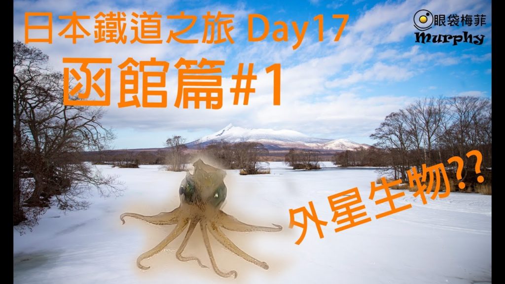 日本鐵道之旅 Day17 函館篇#1 : 即釣即食烏賊刺身 / 函館朝市 / 大沼國定公園 / 美味烤肉店握介 @眼袋梅菲 (香港人遊日本)