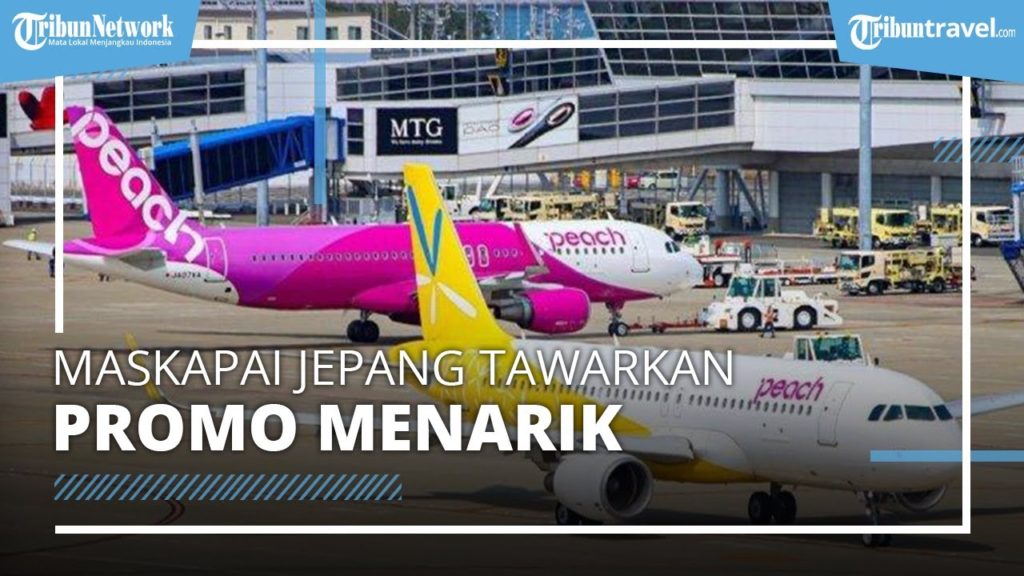 Maskapai Jepang Tawarkan Promo Unik "All You Can Fly", Terbang ke Manapun Sebulan Mulai Rp2 Jutaan