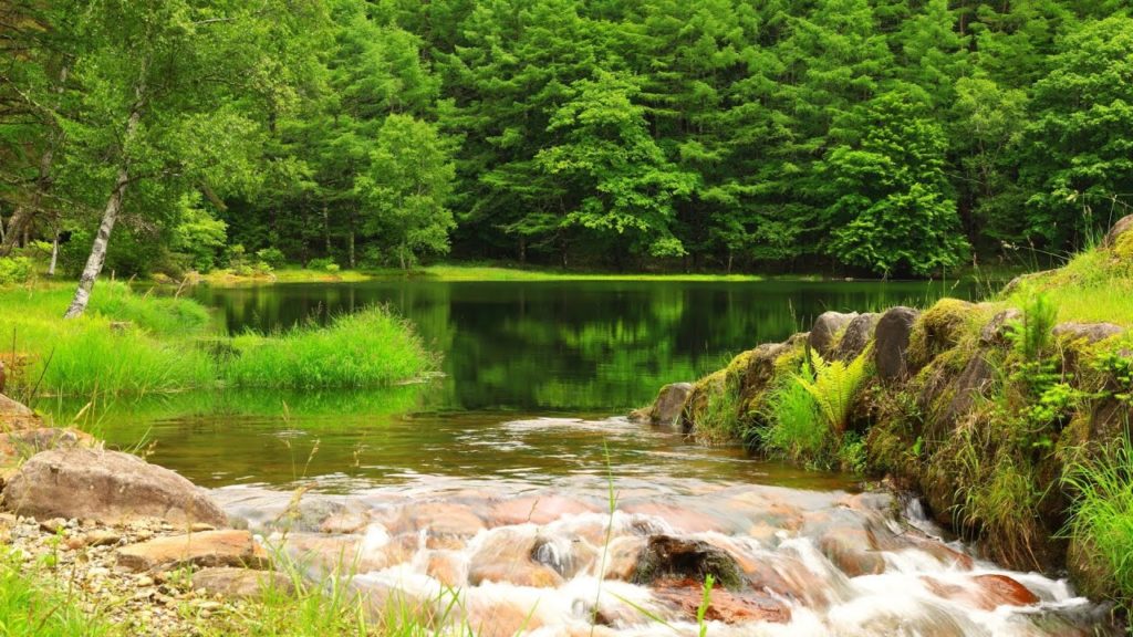 【Japan 1minute Travel NAGANO Okutateshina】 長野 茅野 奥蓼科 御射鹿池（緑と水の音に癒される映像）