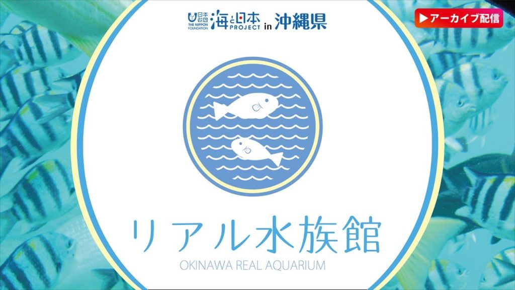 【2021年10月13日】リアル水族館　沖縄の海をお届け♪　ブセナ海中公園からライブ配信中♪| OKINAWA REAL AQUARIUM |