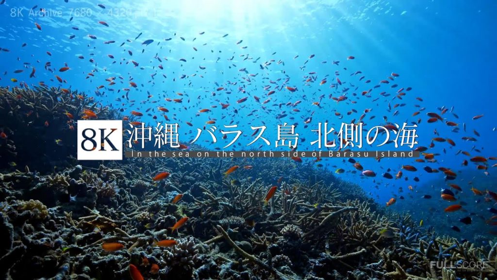[8K footage] In the sea on the north side of Barasu Island 【沖縄 バラス島 北側の海_8K 】