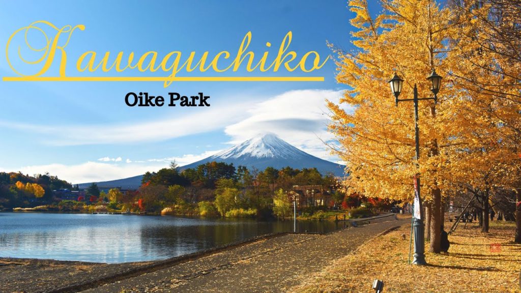 Kawaguchiko Oike Park Autumn Walk | #Kawaguchiko | #富士河口湖町 Kawaguchiko Oike Park Autumn Walk | #Kawaguchiko | #富士河口湖町