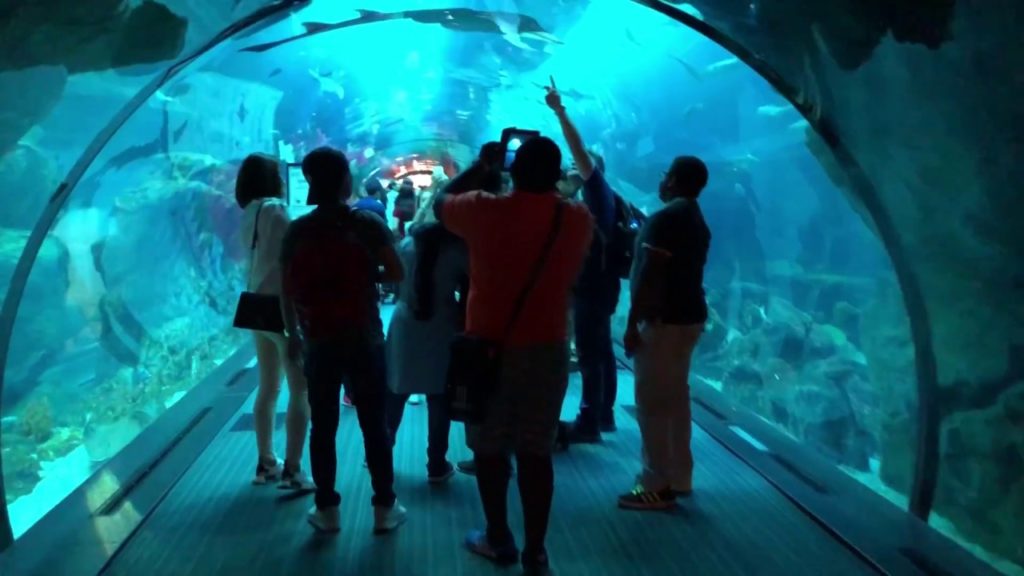 Dubai Mall Aquarium and Underwater Zoo | Must see Place in Dubai 2021